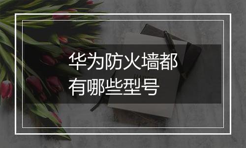 华为防火墙都有哪些型号