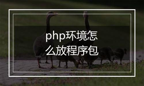 php环境怎么放程序包