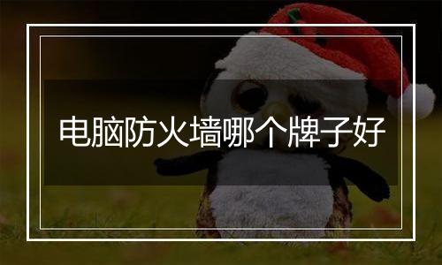 电脑防火墙哪个牌子好