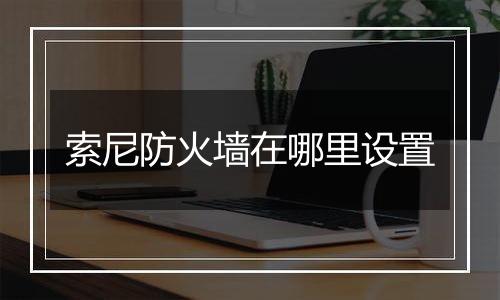 索尼防火墙在哪里设置