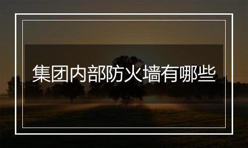 集团内部防火墙有哪些