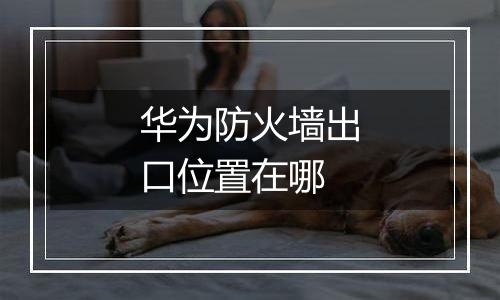 华为防火墙出口位置在哪