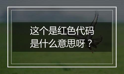 这个是红色代码是什么意思呀?