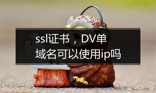 ssl证书,DV单域名可以使用ip吗
