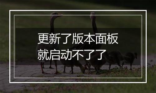 更新了版本面板就启动不了了
