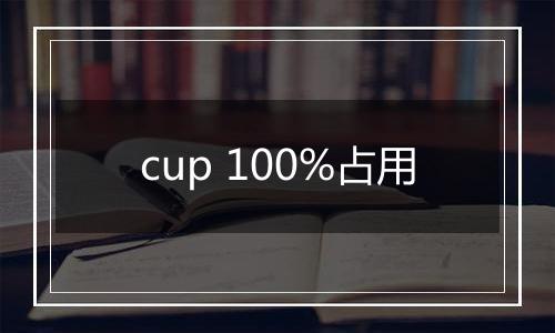 cup 100%占用