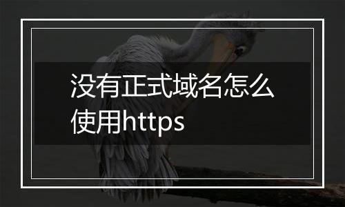没有正式域名怎么使用https