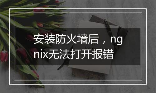 安装防火墙后，ngnix无法打开报错