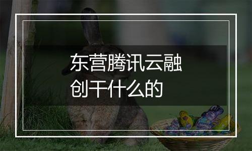 东营腾讯云融创干什么的