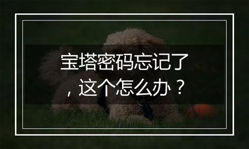 宝塔密码忘记了,这个怎么办?