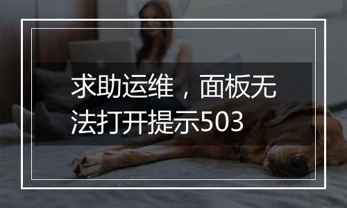 求助运维，面板无法打开提示503