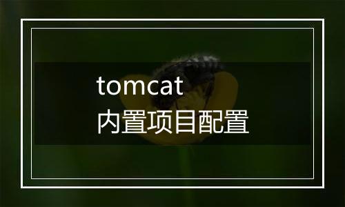 tomcat 内置项目配置