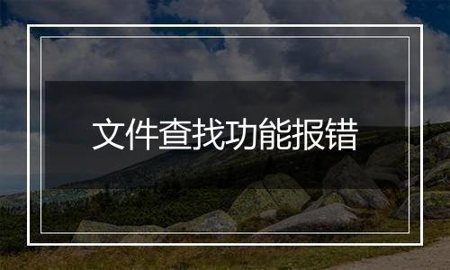 文件查找功能报错