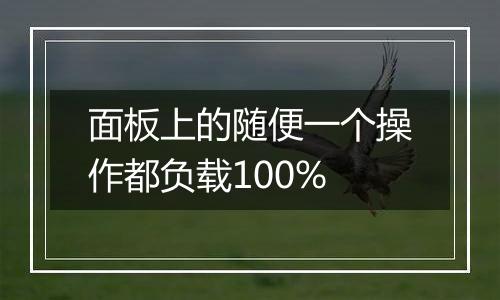 面板上的随便一个操作都负载100%