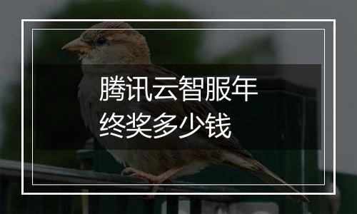 腾讯云智服年终奖多少钱