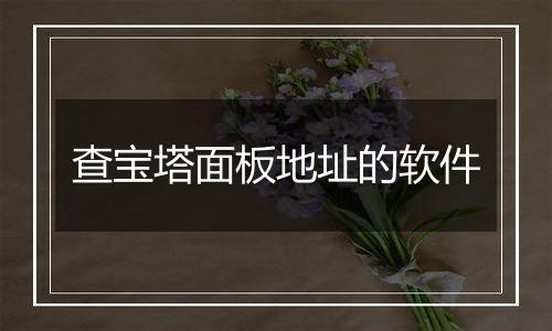 查宝塔面板地址的软件
