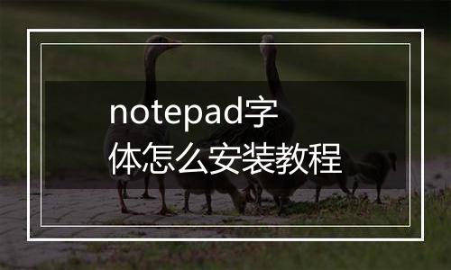notepad字体怎么安装教程