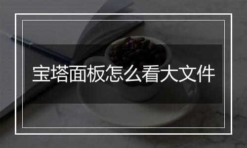 宝塔面板怎么看大文件