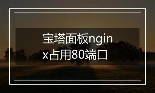 宝塔面板nginx占用80端口