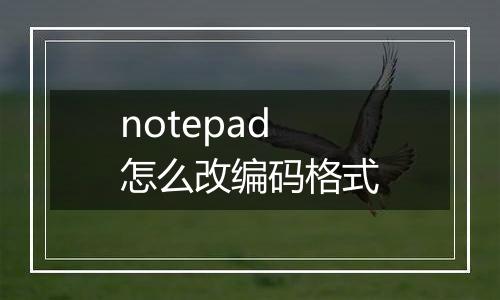 notepad怎么改编码格式