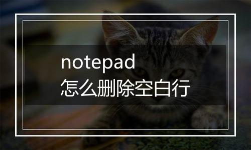 notepad怎么删除空白行