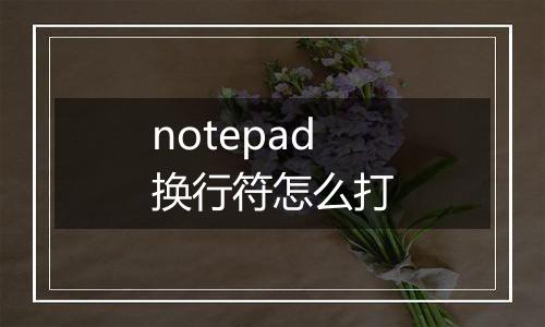 notepad换行符怎么打