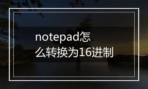 notepad怎么转换为16进制
