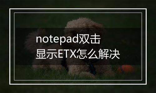 notepad双击显示ETX怎么解决