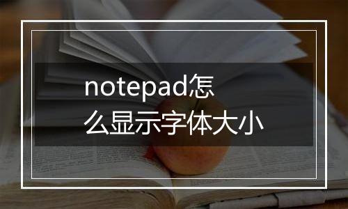 notepad怎么显示字体大小