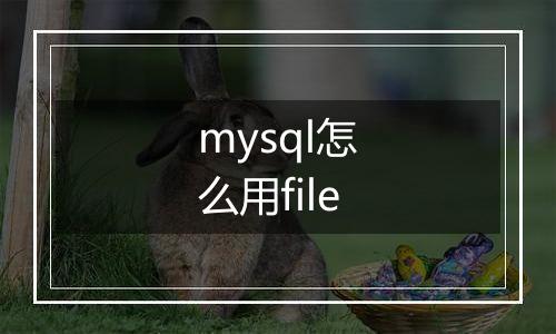 mysql怎么用file