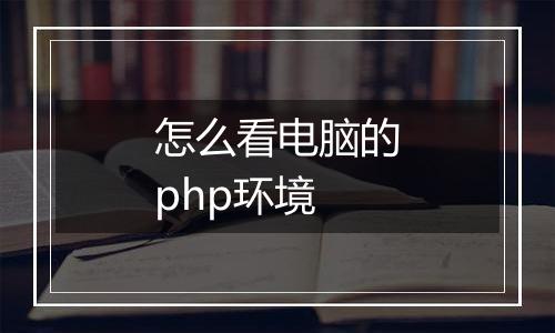 怎么看电脑的php环境