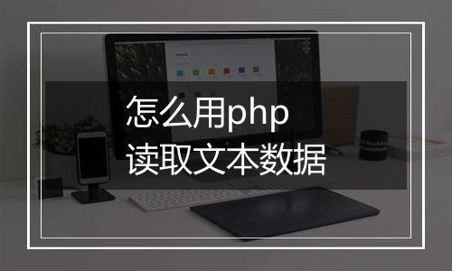 怎么用php读取文本数据