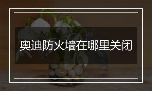 奥迪防火墙在哪里关闭