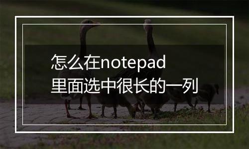 怎么在notepad里面选中很长的一列