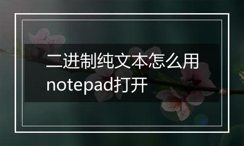 二进制纯文本怎么用notepad打开