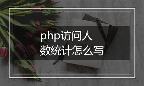 php访问人数统计怎么写
