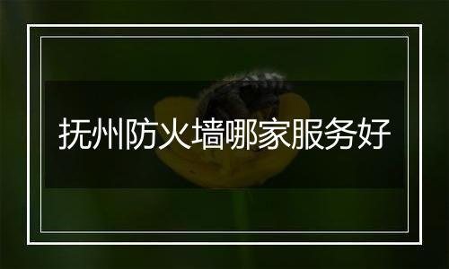抚州防火墙哪家服务好