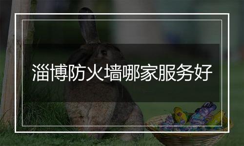 淄博防火墙哪家服务好