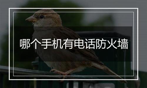 哪个手机有电话防火墙