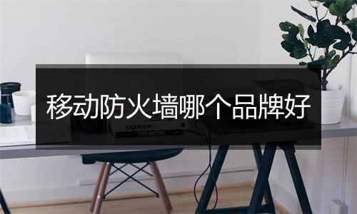 移动防火墙哪个品牌好