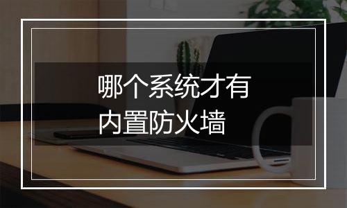 哪个系统才有内置防火墙