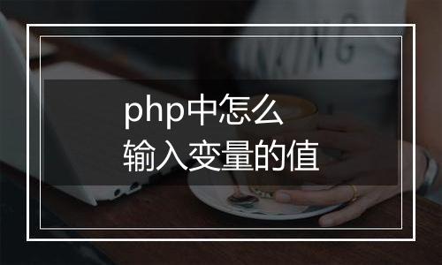 php中怎么输入变量的值