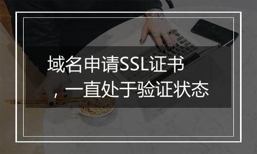 域名申请SSL证书，一直处于验证状态