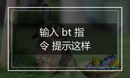 输入 bt 指令 提示这样