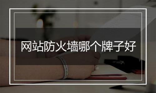 网站防火墙哪个牌子好