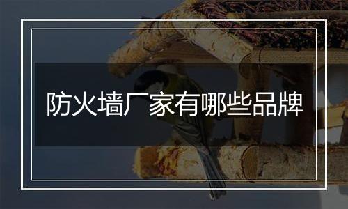 防火墙厂家有哪些品牌