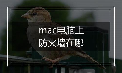mac电脑上防火墙在哪