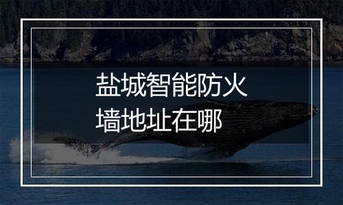 盐城智能防火墙地址在哪