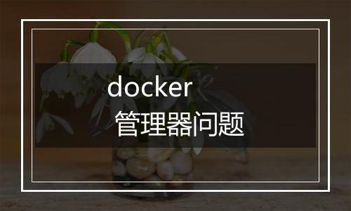 docker 管理器问题