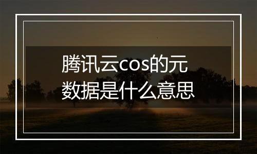 腾讯云cos的元数据是什么意思